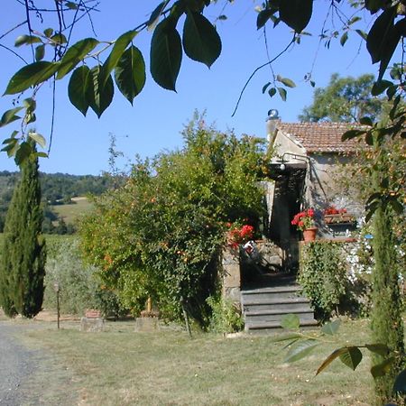 Piccolo Sole Villa Montescudaio Eksteriør billede