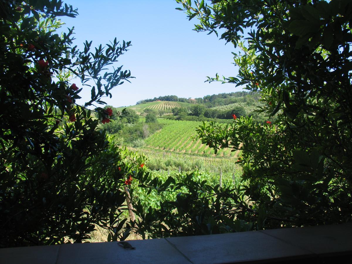 Piccolo Sole Villa Montescudaio Eksteriør billede