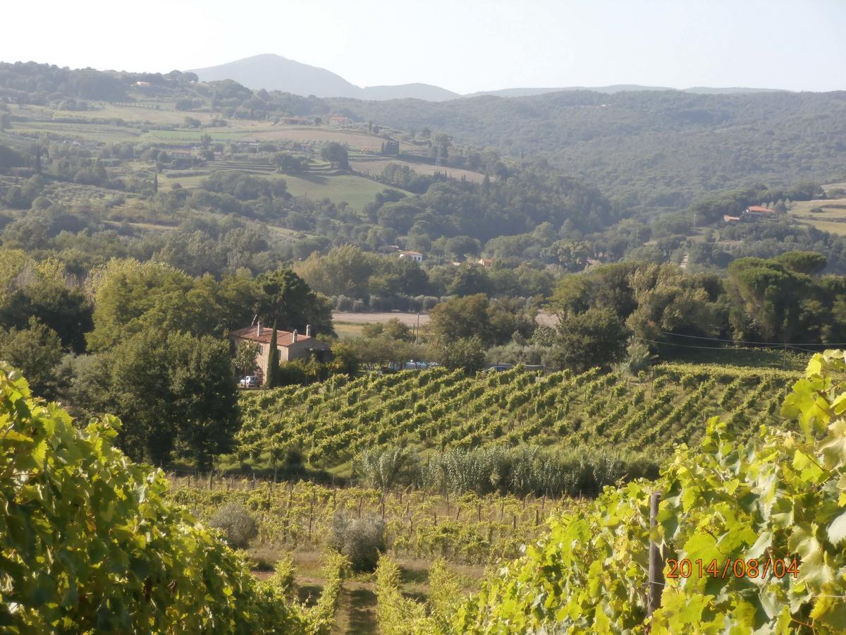 Piccolo Sole Villa Montescudaio Eksteriør billede