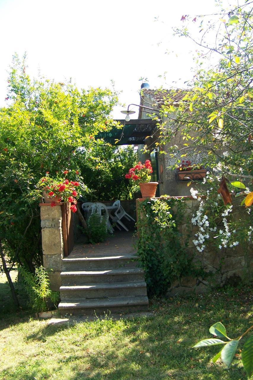 Piccolo Sole Villa Montescudaio Eksteriør billede